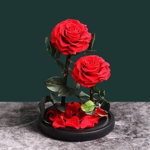 Rose De Soie éternelle - Madeofrose Ours En Rose