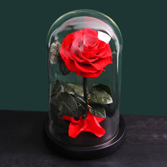 Rose De Soie éternelle - Madeofrose Ours En Rose